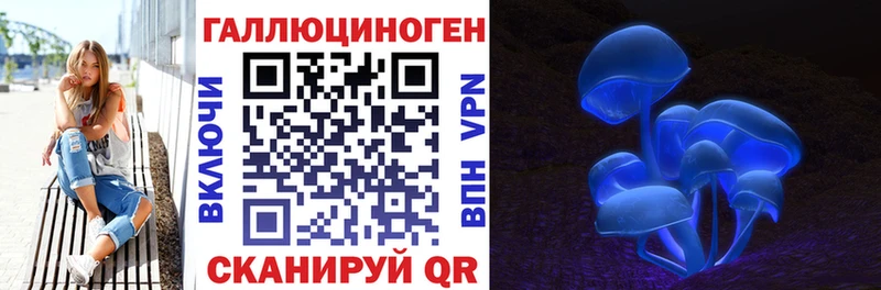 купить закладку  Феодосия  Галлюциногенные грибы Psilocybine cubensis 